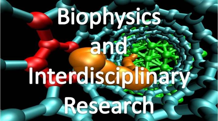 Biophysics and Interdisciplinary Research